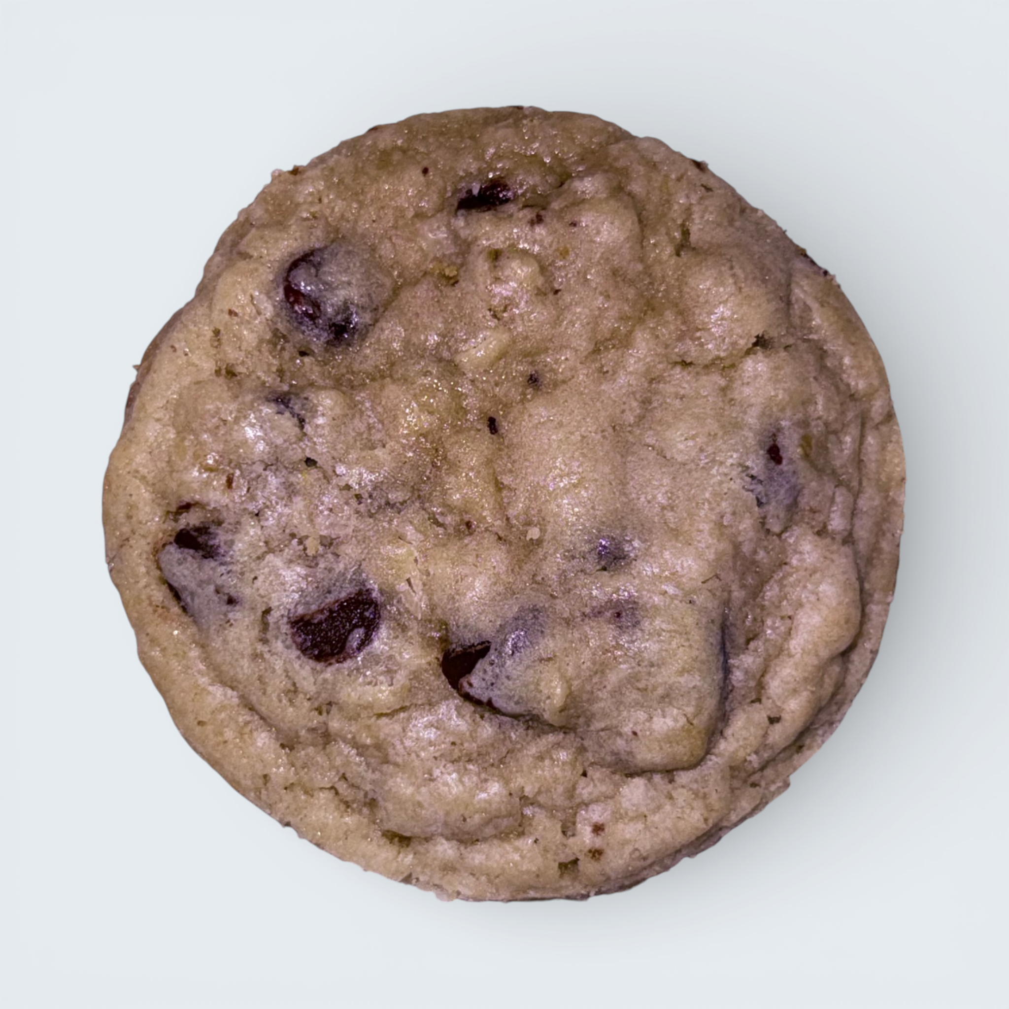 Oatmeal Chocolate Chip Cookie