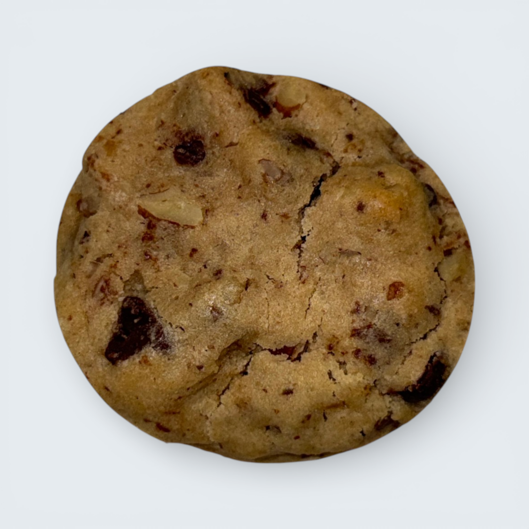 Pecan Chocolate Chip
